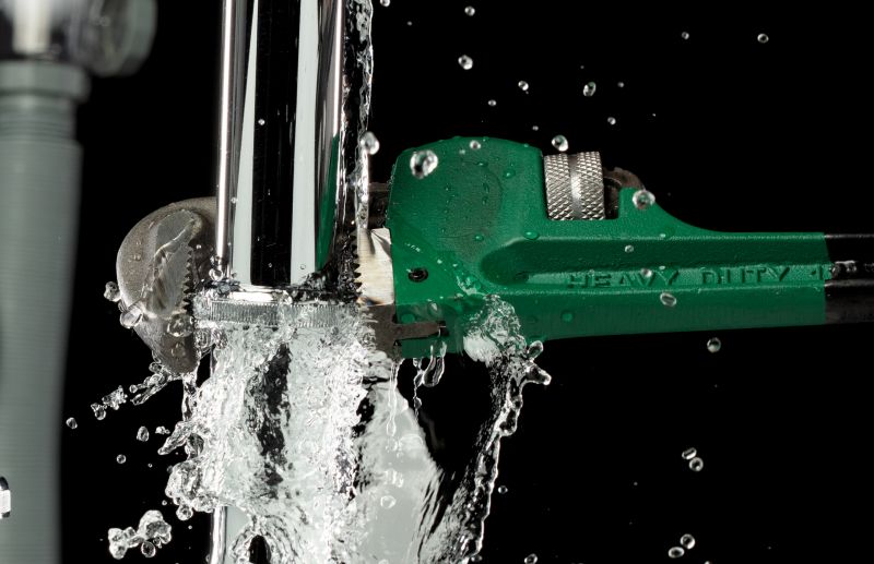 Technician Repairing Leak